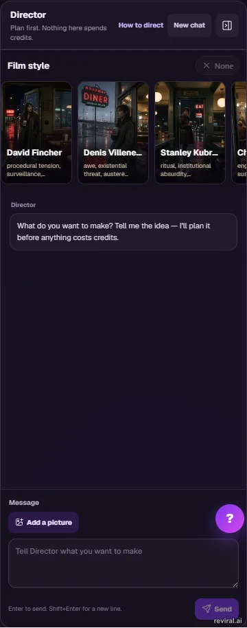 Open Director panel showing the free-planning header, How to direct link, Film style row, chat area, Add a picture button, and message box